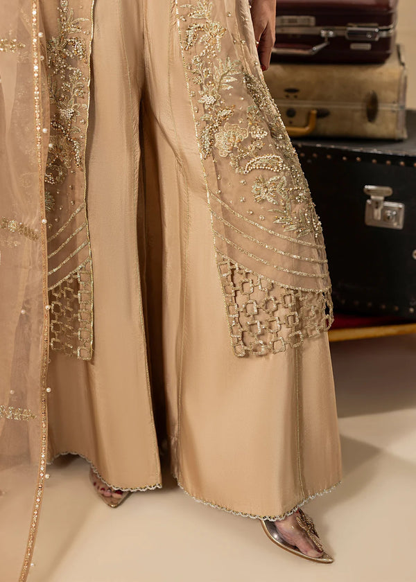 MERAKI ZOYA AHMAD- 07