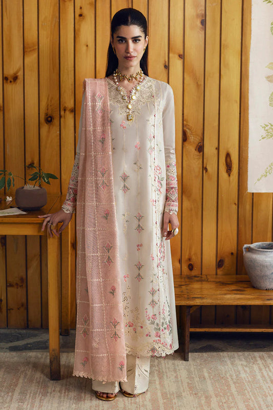QLINEKARI DC-07 Tyrah