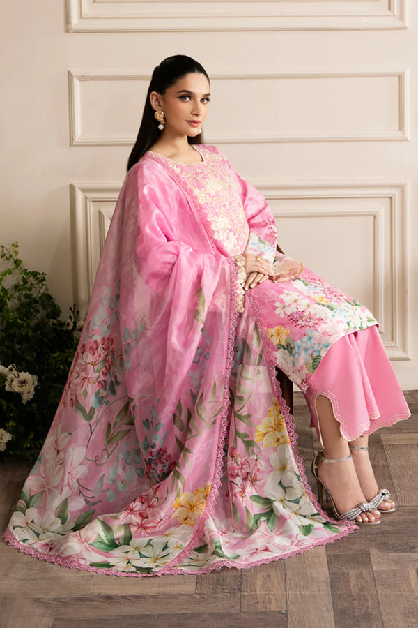 RANG RASIYA LIFESTYLE EDIT 24 - EKIN