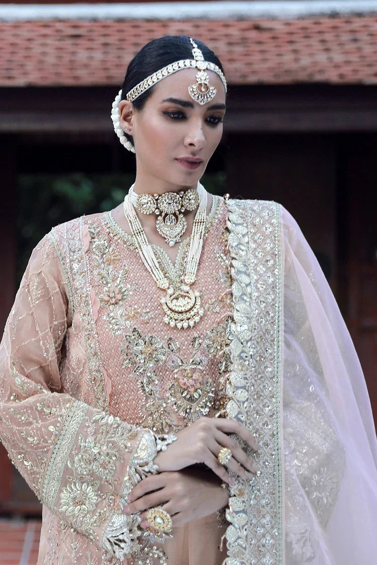 Enaara – Our First Chapter Festive Collection Vol 1 | D 08