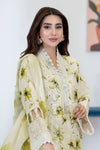 JOHRA NAQOOSH-JS-177-NQS