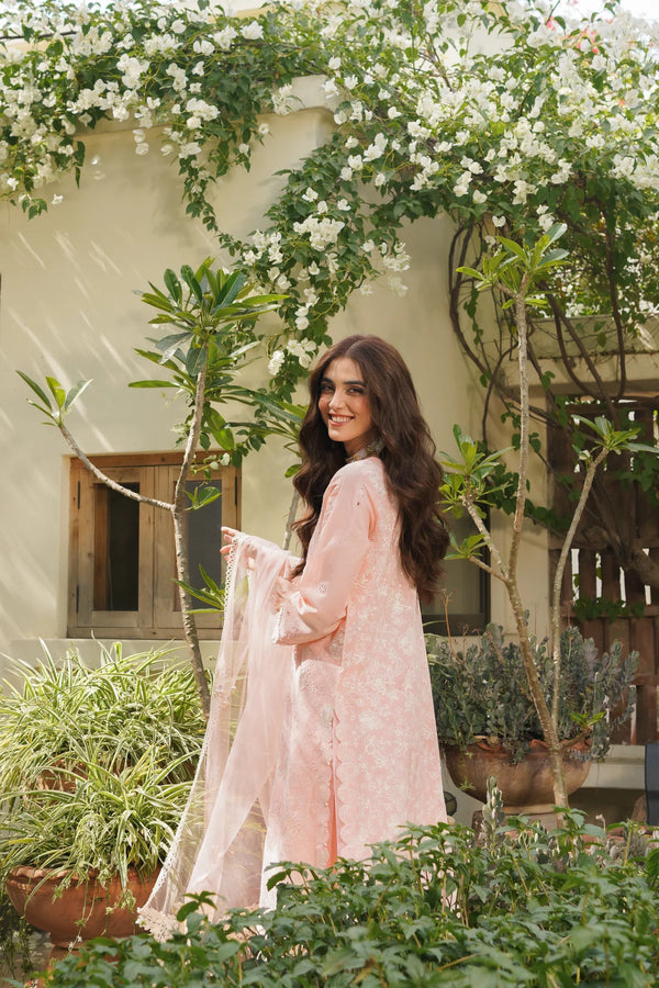 MANARA BY MARIA ASIF BAIG | PRIMROSE