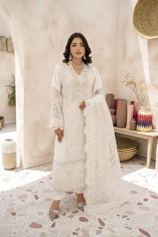 EMBROIDRED CHIFFON ZFHS-001