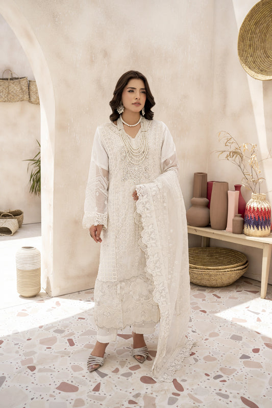 EMBROIDRED CHIFFON ZFHS-001