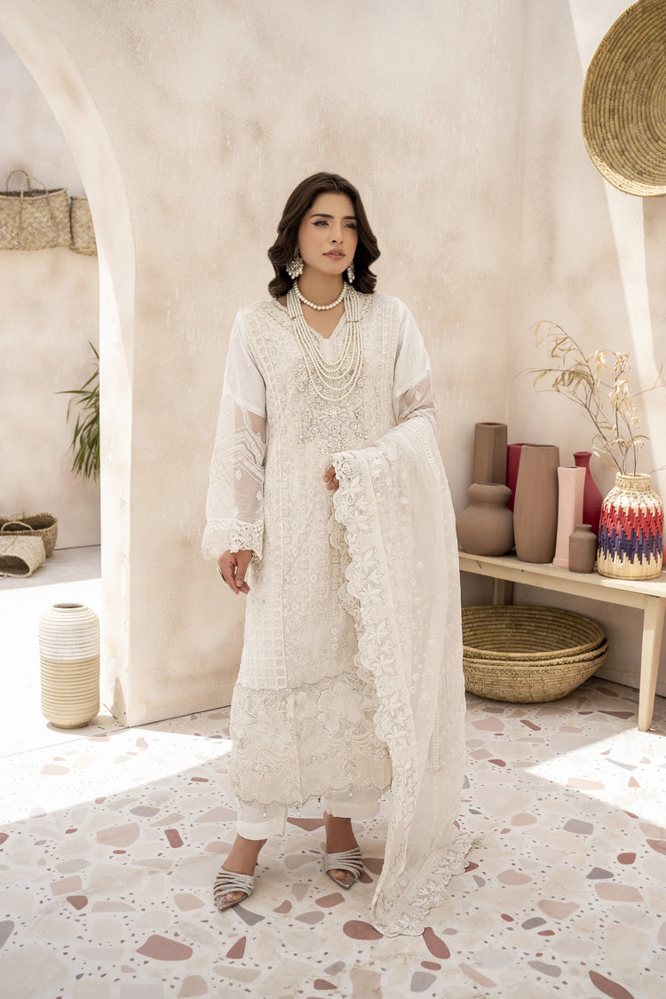 EMBROIDRED CHIFFON ZFHS-001
