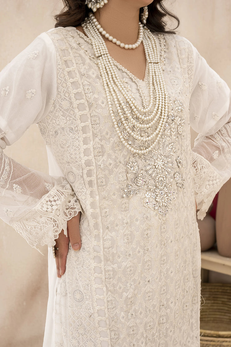 EMBROIDRED CHIFFON ZFHS-001