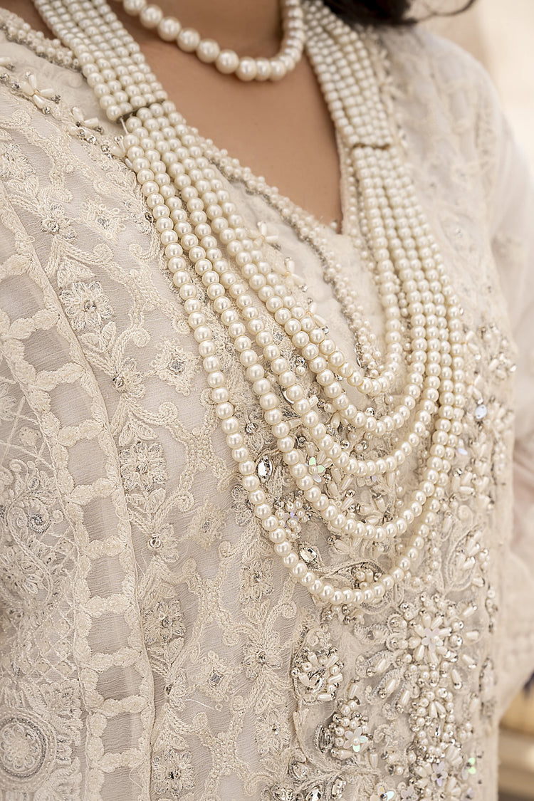 EMBROIDRED CHIFFON ZFHS-001