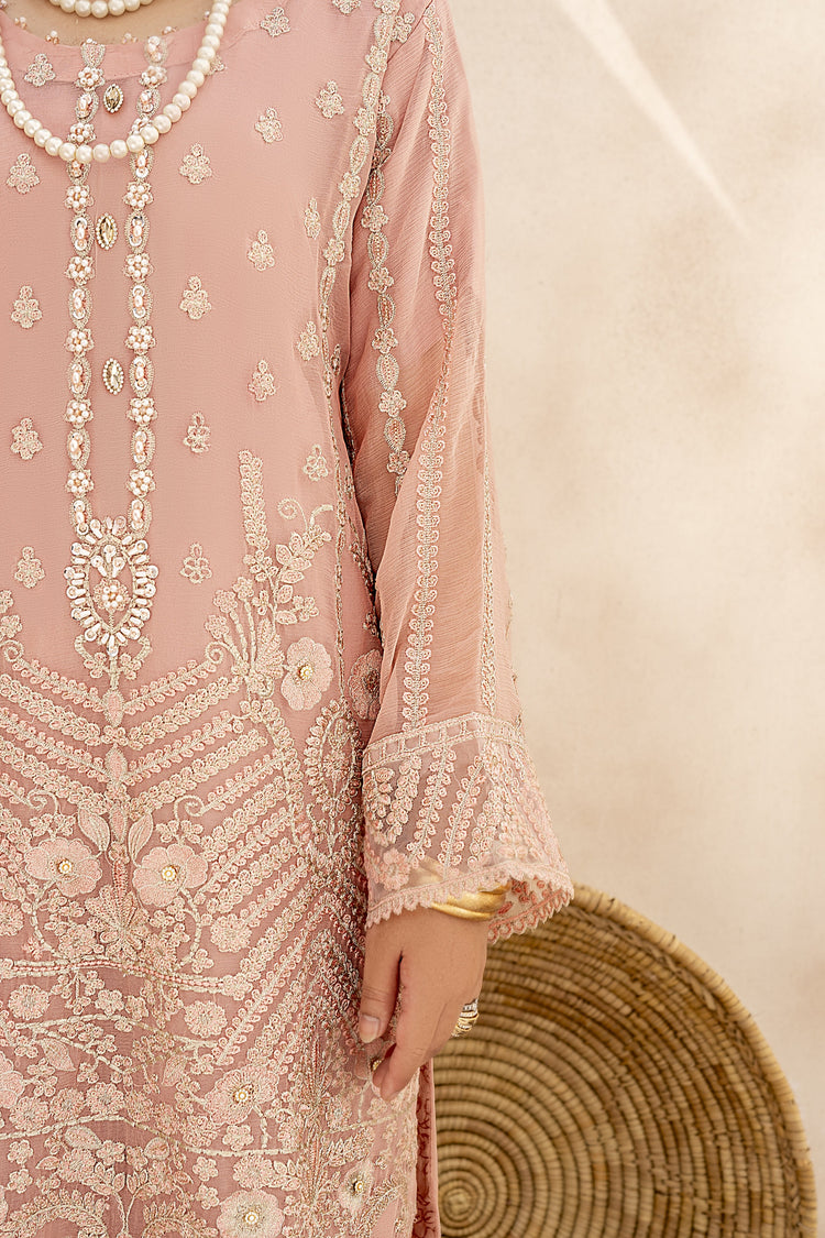 EMBROIDRED CHIFFON ZFHS-002