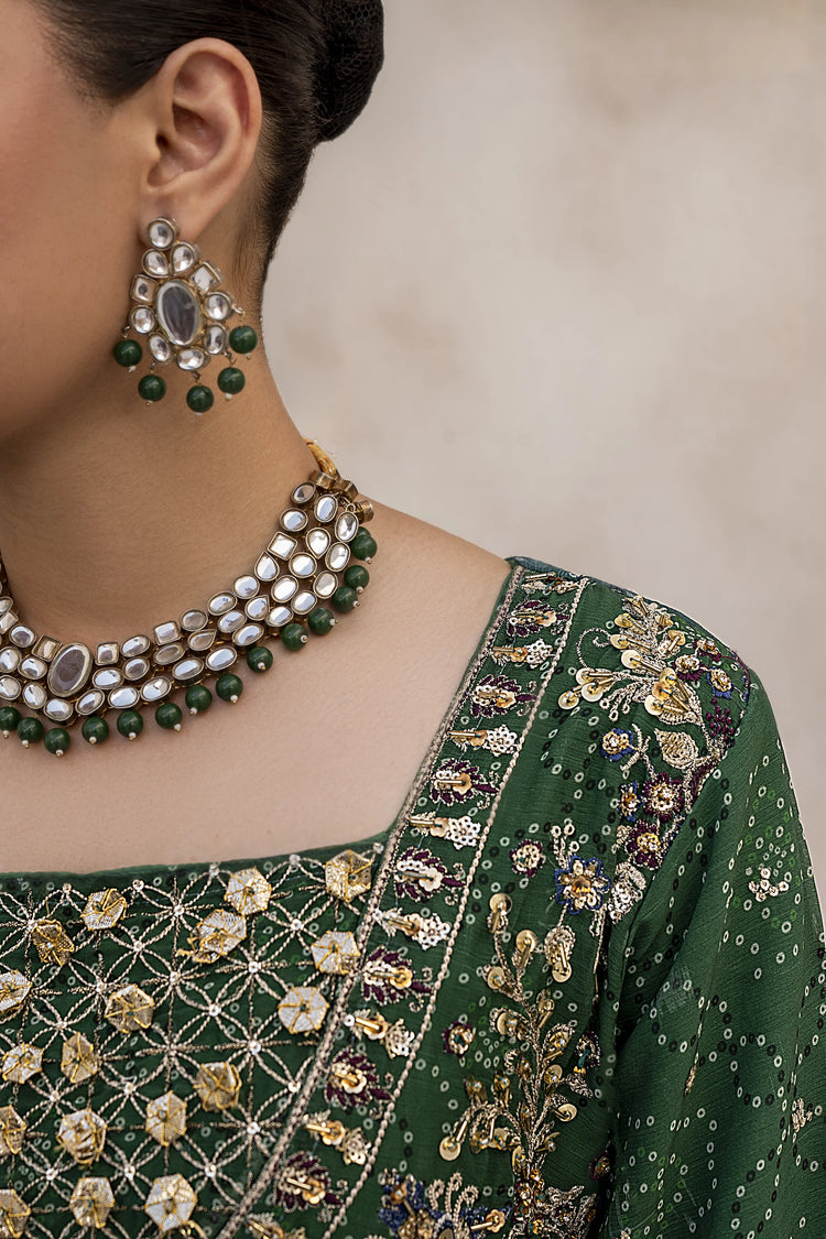 EMBROIDRED CHIFFON ZFHS-003
