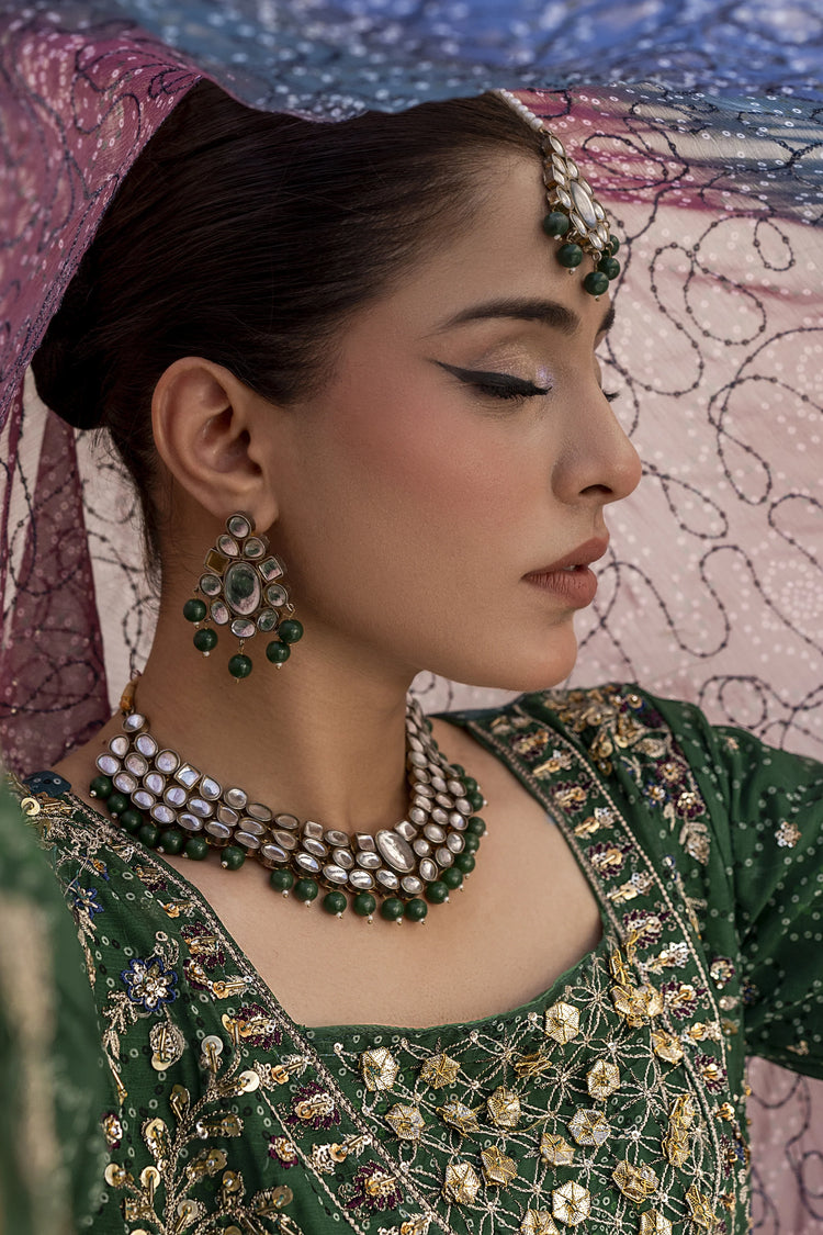 EMBROIDRED CHIFFON ZFHS-003