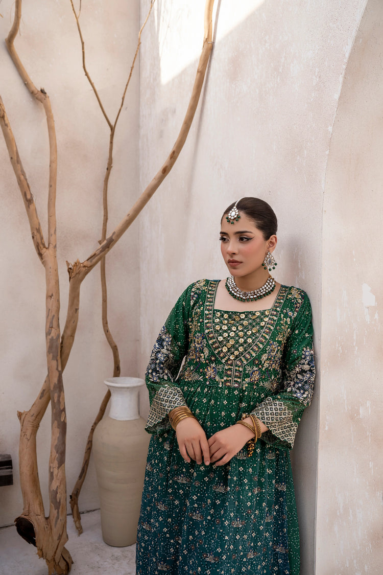 EMBROIDRED CHIFFON ZFHS-003