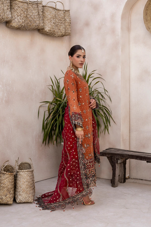EMBROIDRED CHIFFON ZFHS-004