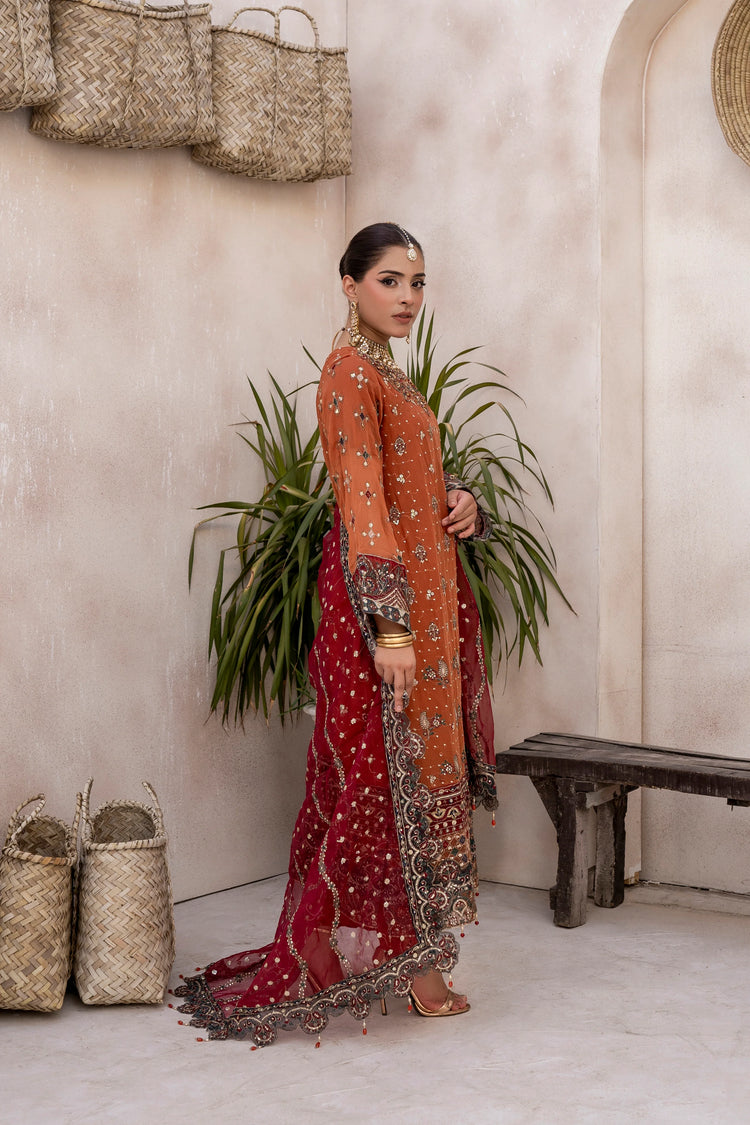 EMBROIDRED CHIFFON ZFHS-004