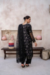 EMBROIDRED CHIFFON ZFHS-006