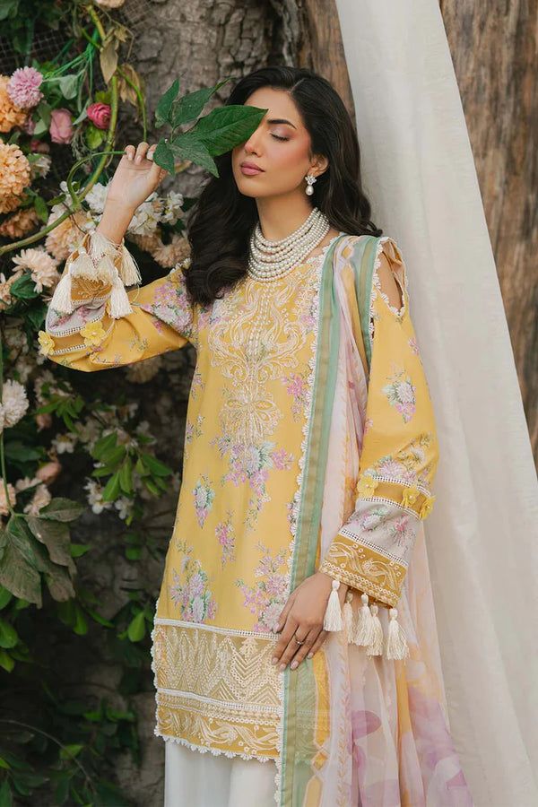 NATURE'S WHISPER | SAAD SHAIKH | HUSNA