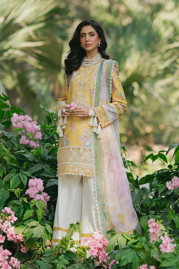 NATURE'S WHISPER | SAAD SHAIKH | HUSNA