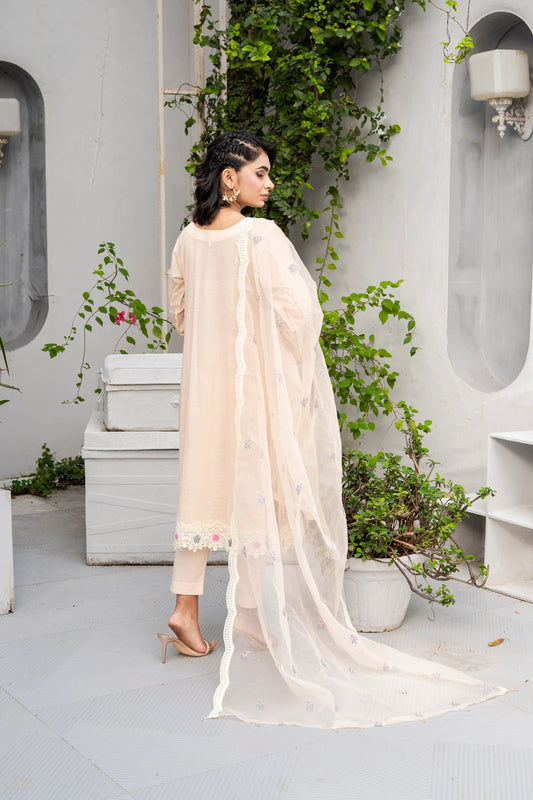 SHAHZADI LUXURY COLLECTION-D02