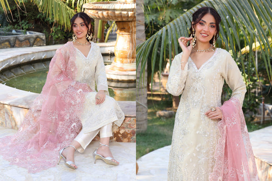 DIL RUBA BY DR HARIS | LUXURY | D-03