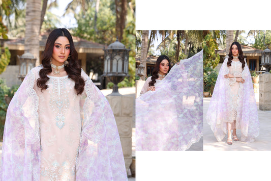 DIL RUBA BY DR HARIS | LUXURY | D-02