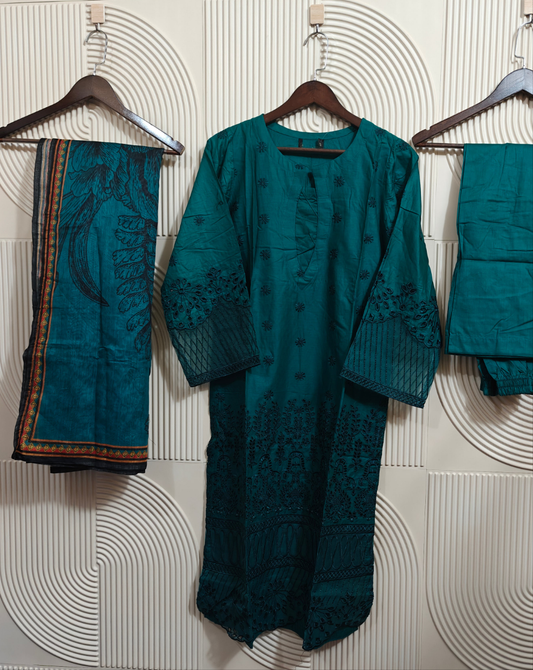 RANIYA ELEGANCE CHIKANKARI RTW D-02