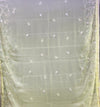 ZOYA AHMAD GUZEL CHIFFON STITCHED - D01