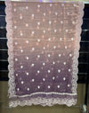 ZARA ALI LUXURY CHIFFON PRET | D-08