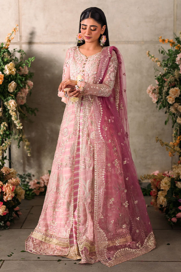MUSHQ MASTANI-MAISHA