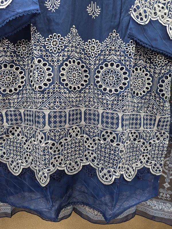 BIN SAEED CHIKANKARI STITCHED 2024 D-02