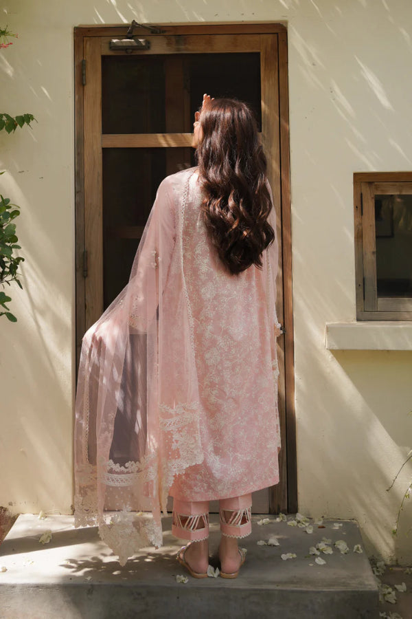 MANARA BY MARIA ASIF BAIG | PRIMROSE