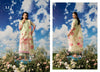 Rangpasand guljee vol_10-A09