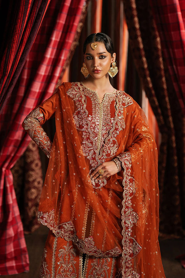 Divani afrozeh'festive formals-Aafreen