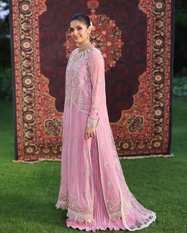 Aangan Chiffon - Naaz