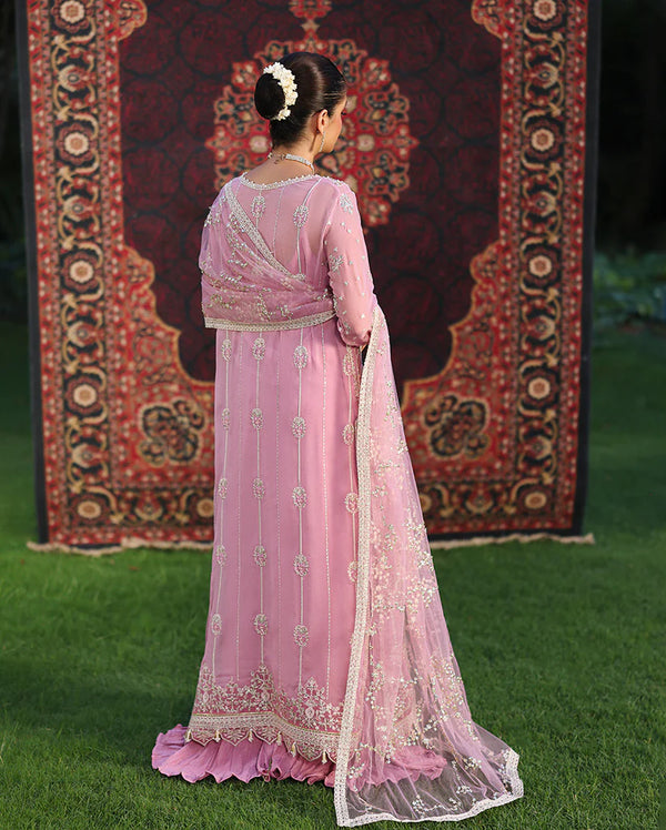 Aangan Chiffon - Naaz