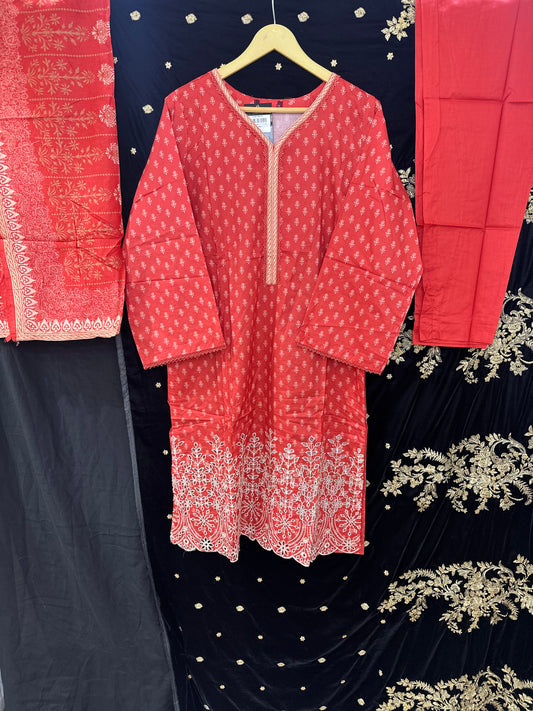 BIN SAEED PRINTED CHIKANKARI- 06