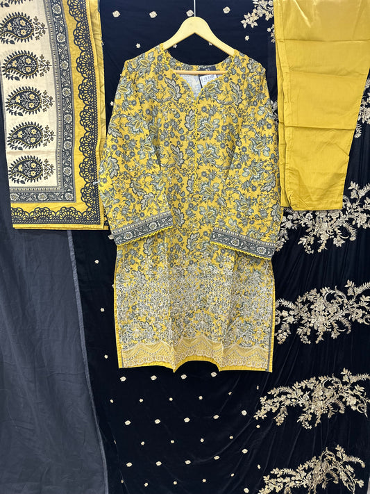 BIN SAEED PRINTED CHIKANKARI- 12