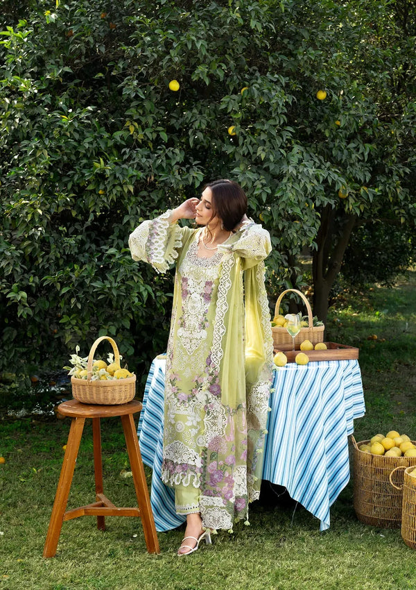 ELAF LUXURY LAWN FESTIVE | PISTACHIA