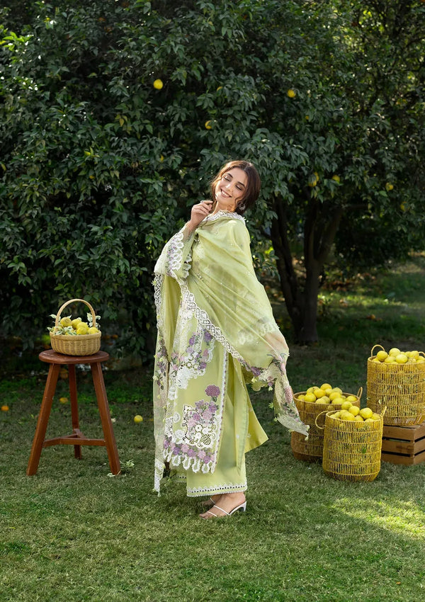 ELAF LUXURY LAWN FESTIVE | PISTACHIA