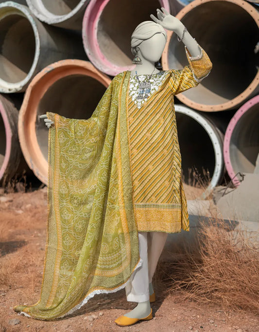 GREEN LAWN EMBROIDERED 2PC STITCHED | JLAWN-S-JDS-25-1002