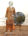 MULTICOLOR LAWN PRINTED 2PC STITCHED | JLAWN-S-JST-25-2006