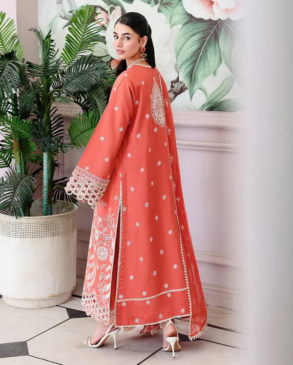 Veil of summer roheenaz '26/Soleil Blanc
