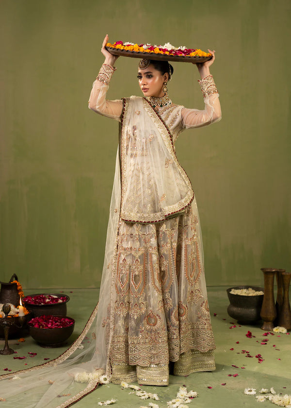 LAMHAY BY ZOYA AHMAD LUXURY RTW | D-2559 A