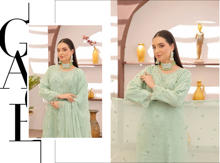 RUBAB BY BIN HAMEED CHIFFON | D-01