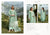 Elaf Luxury Lawn 2026 ELQ-3A DAISY CHAIN