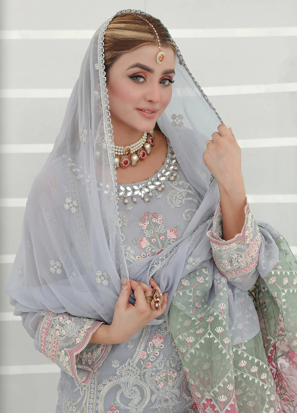 PEHCHAN BY PAKDAMAN SEMI-STITCHED 3PC | D-1059