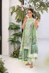 Sobia nazir Vital 2025 Design 12A
