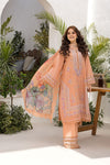 Sobia nazir Vital 2025 Design 7A