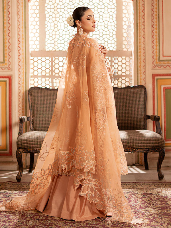 Rangreza by Zebtan-RZ-01
