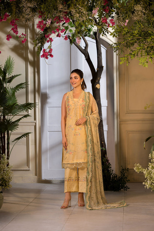 Sobia nazir Vital 2025 Design 1B