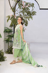 Sobia nazir Vital 2025 Design 12A
