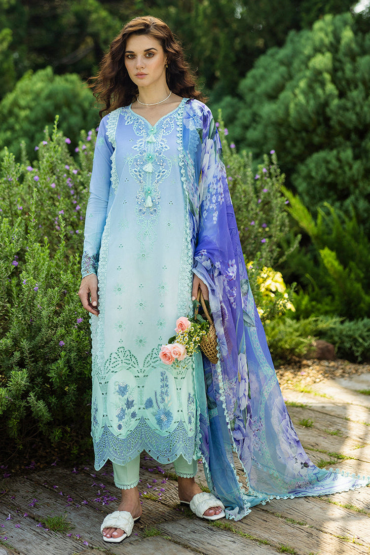 SOLACE OMBRE CHIKANKARI|Fiducia